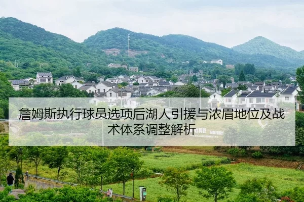詹姆斯执行球员选项后湖人引援与浓眉地位及战术体系调整解析